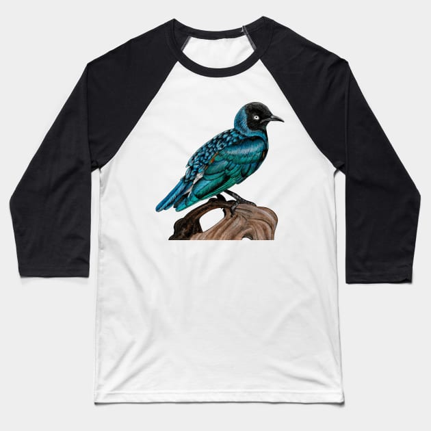 Superb starling Baseball T-Shirt by lorendowding